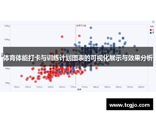 体育体能打卡与训练计划图表的可视化展示与效果分析